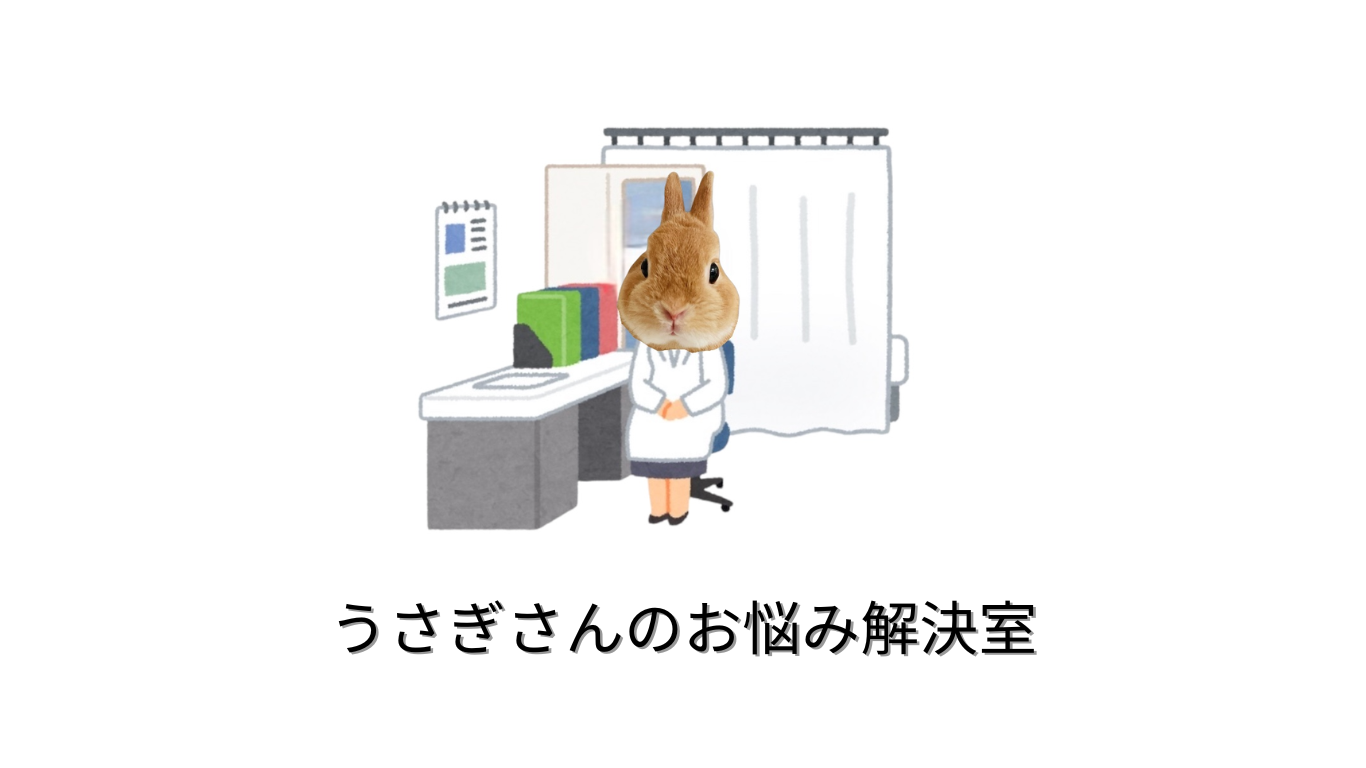 うさぎさんのお悩み解決室