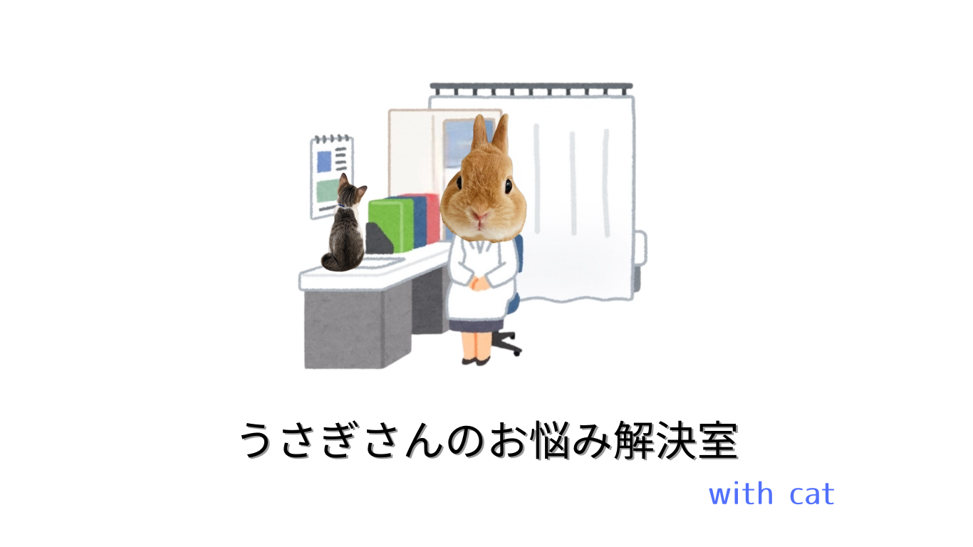 うさぎさんのお悩み解決室